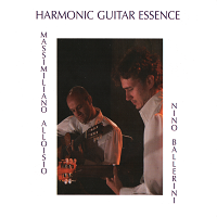 Harmonic Guitar Essence (2007)